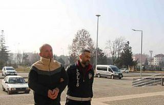 "Parayı havale yoluyla göndereceğim"...