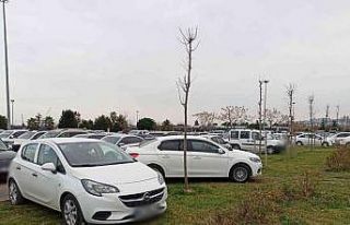 Parkta sınır tanımadılar