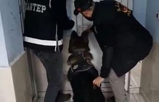 Polis kaçakçılara göz açtırmıyor