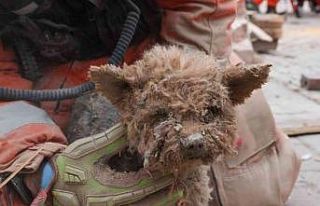 Polonya’daki doğal gaz patlamasında 2 kişi cansız...