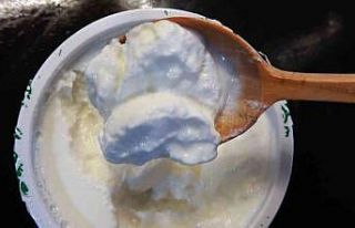 Prof. Dr. Arıca: ”Probiyotikler alzheimer riskini...