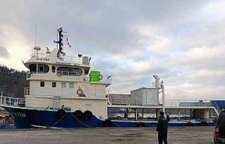 Rize’de 30 bin ton hamsiye el konuldu