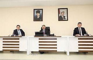 Sahipsiz Hayvanları Koruma Birliği’nin faaliyetleri...