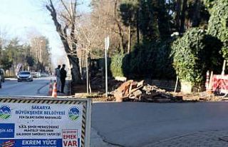 Sakarya Büyükşehir dönüşüm için düğmeye...