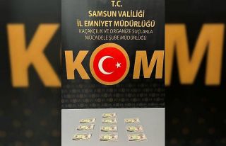 Samsun’da 10 adet 50’lik sahte dolarla yakalanan...