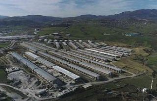 Samsun’da 800 dönüm üzerine bin 608 iş yerinden...