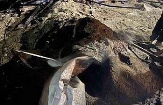 Şantiyedeki elektrik panosunda çıkan yangın paniğe...