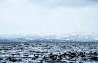 Sapanca Gölü için rahatlatan açıklama