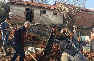 Sarıgöl’de yılın son kestane hasadı yapıldı