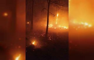 Sarp arazide devam eden yangın kısmen kontrol altına...