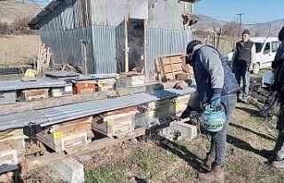 Seben’de arı kenesine karşı ilaçlama yapıldı