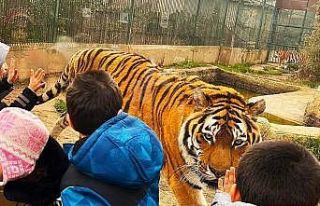 Sevgi evlerinde kalan çocuklar ara tatilde doyasıya...