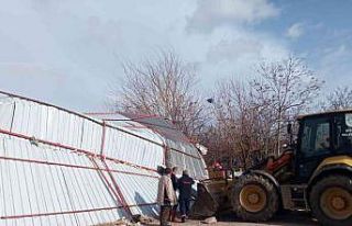 Şiddetli rüzgarlar sebebiyle ağıl çöktü