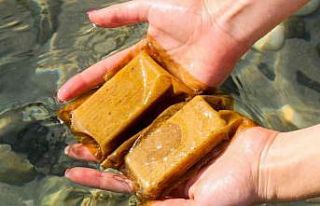 Şifa deposu enginar ‘ambalaj’ sektörüne ilham...