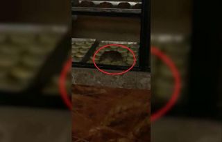 Simit fırınında gezinen fare kameraya yansıdı