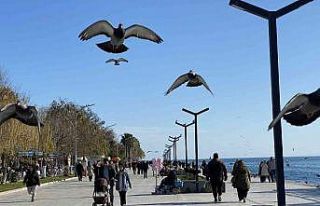 Sinop’ta kış ortasında yaz havası