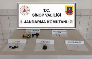 Sinop’ta yol kontrolünde bir araçtan bonzai ele...