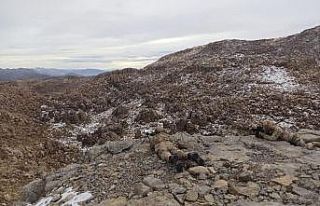 Şırnak’ta ‘Eren Abluka Sonbahar-Kış-23’...