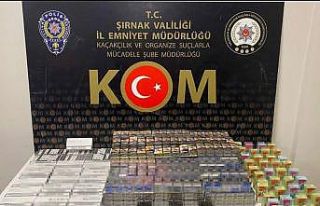 Şırnak’ta kaçakçılık, asayiş ve terör şüphelisi...