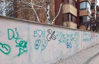 Site duvarları adeta resim tahtasına döndü