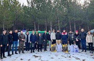 Sivas’ta yaban hayatı unutulmadı