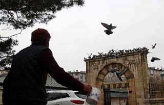 Sivas’taki kuş vakfiyesi 8 asırdır ayakta