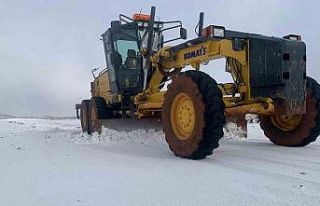 Siverekte kar mesaisi