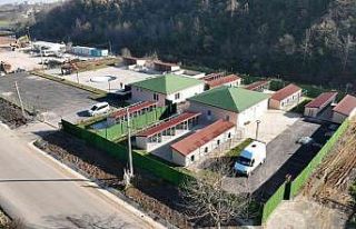 Sokak Hayvanları Rehabilitasyon Merkezi’nde sona...