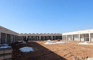 Sokak hayvanları sıcak yuvalarına kavuşuyor