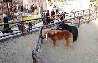 Sömestr tatiline giren öğrencilerin adresi Keçiören...