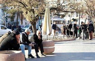 Son yılların en sıcak kış ayını geçiren Erzincan’da...