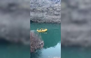 Sular altında kalacak Yusufeli’nden sokak köpeklerinin...