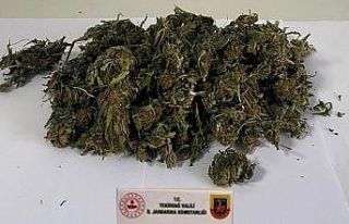 Şüpheli araçta yarım kilo esrar bulundu