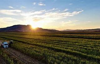 Tarım arazilerinin etkin kullanımı ile bitkisel...