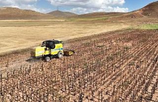 Tarımsal girdi fiyat endeksi bir yılda yüzde 112,41...