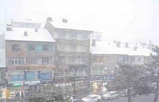 Tatvan’da kar yağışı başladı