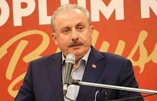 TBMM Başkanı Şentop’tan Prens Harry’ye sert...