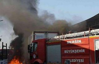Tır alev alev yandı