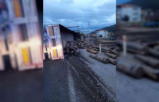 Tomruk yüklü tır devrildi
