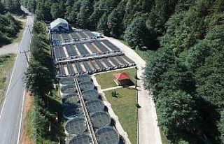 Trabzon’da 2022 yılında 2 milyon 100 bin adet...