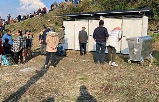 Uluslararası Deve Güreşleri Festivali’nde ilginç...