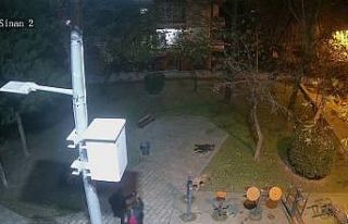 Ümraniye’de sokak köpeklerine ateş eden saldırganının...