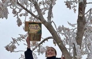 Üniversite öğrencileri kampüsü kuş evleriyle...