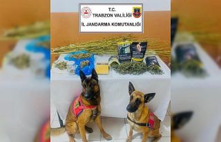 Uyuşturucu madde ticareti yapan evli çift tutuklandı