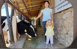 Uzman Eller Projesi hibe miktarı 250 bin liraya yükseltildi