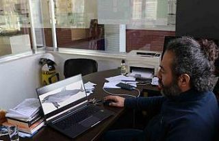 Uzmanından korkutan uyarı: "Yunus balıkları,...