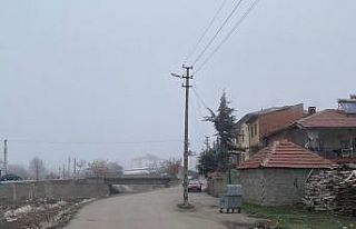 Valilik’ten yol ortasında kalan direklerle ilgili...