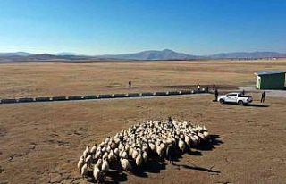 Van Büyükşehir Belediyesinden kırsal kalkınma...