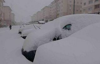 Van’da kar yağışı hayatı felç etti