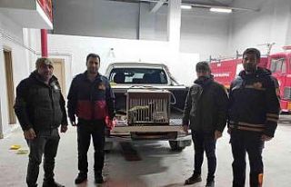 Van’da tel örgüye sıkışarak yaralanan tilki...